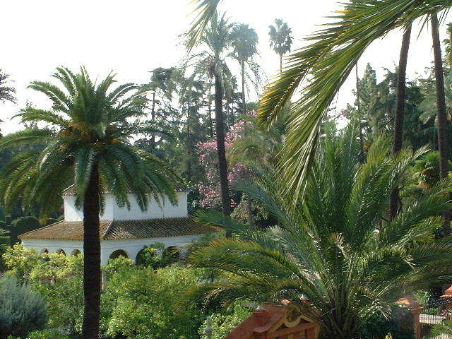 hmmmm... the garden of the Reales Alcázares